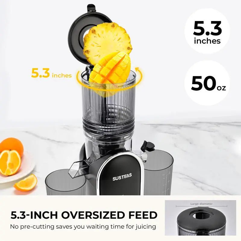 Cold Press Juicer with 5.3" Wide Feed Chute – High Juice Yield, Easy Clean, Whole Fruit Masticator