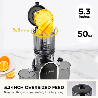 Cold Press Juicer with 5.3" Wide Feed Chute – High Juice Yield, Easy Clean, Whole Fruit Masticator
